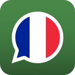 Bilinguae Français Icon